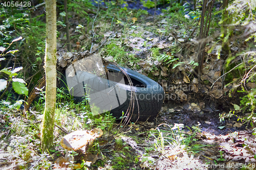 Image of Junk in the wild forest