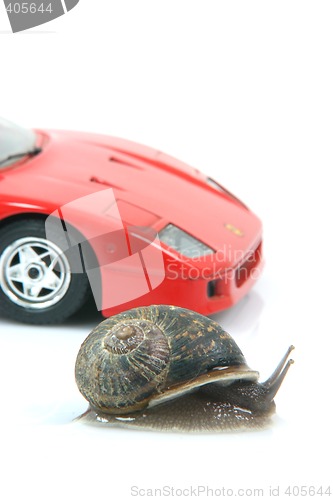 Image of racing snail