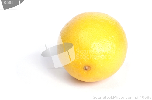 Image of Lemon