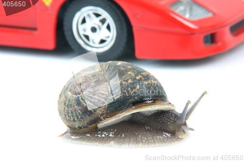 Image of snail and car