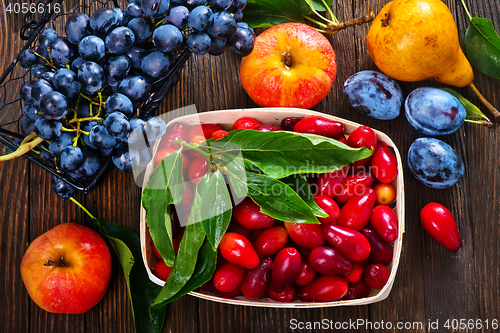 Image of autumn harvest