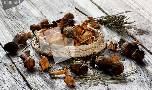 Image of Arrangement of Dried Mushrooms