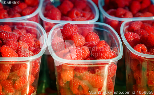 Image of Raspberries in containers for sale.