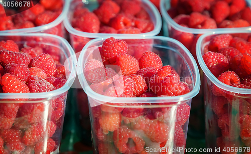 Image of Raspberries in containers for sale.