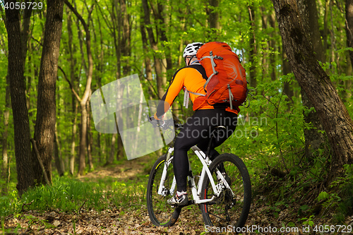 Image of Man bikes in the green forest