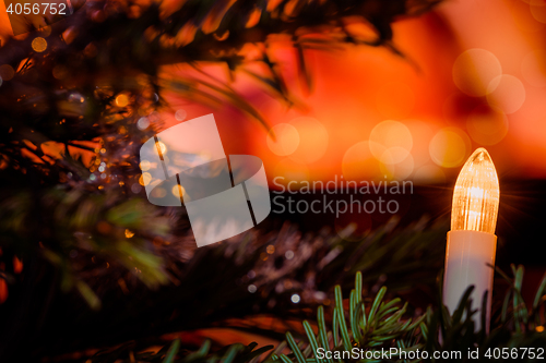 Image of Christmas tree with Xmas lights