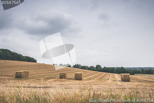 Image of Landscape with hay bales on a field