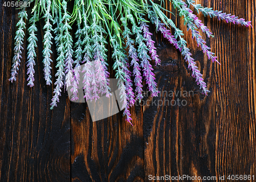Image of lavender