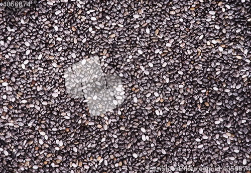 Image of chia  seeds