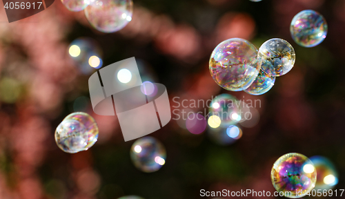 Image of Soap bubbles