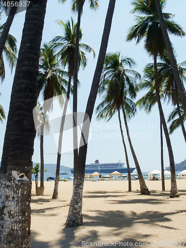 Image of Palm trees on Acapulco beach