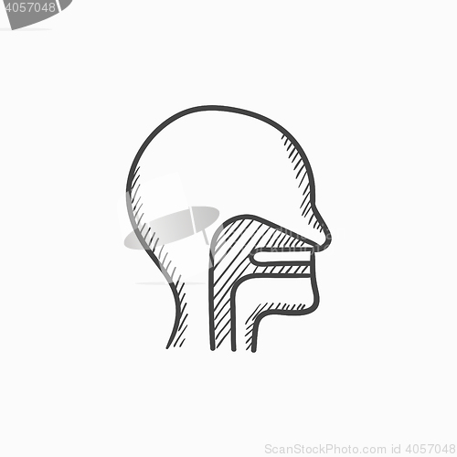 Image of Human head with ear, nose, throat sketch icon.