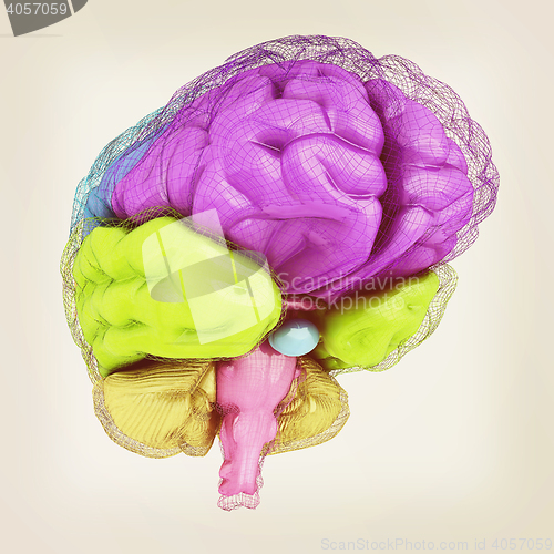 Image of Creative concept of the human brain. 3D illustration. Vintage st