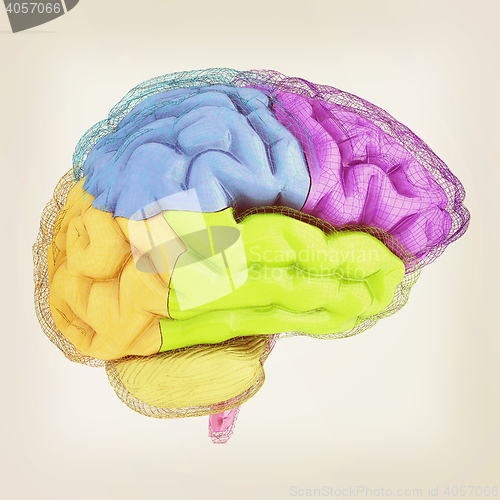 Image of Creative concept of the human brain. 3D illustration. Vintage st