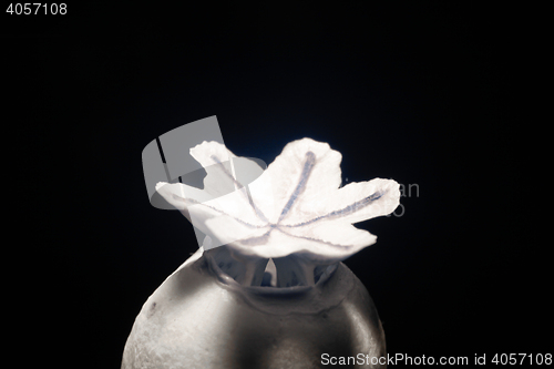 Image of 