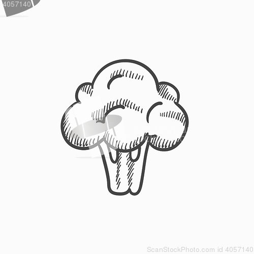 Image of Broccoli sketch icon.