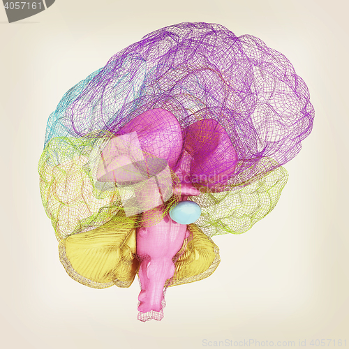 Image of Creative concept of the human brain. 3D illustration. Vintage st