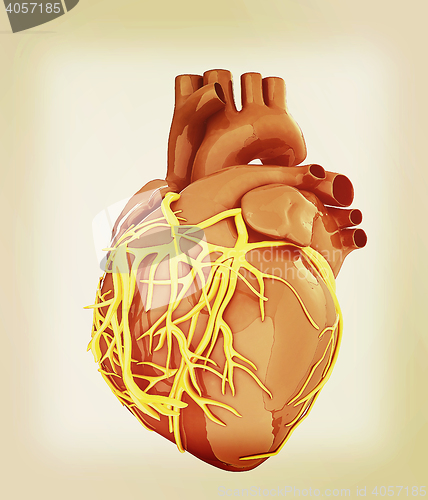 Image of Human heart. 3D illustration. Vintage style.