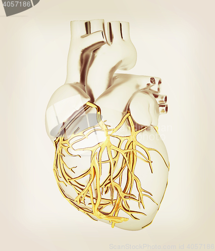 Image of Human heart. 3D illustration. Vintage style.