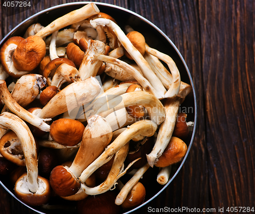 Image of raw mushrooms