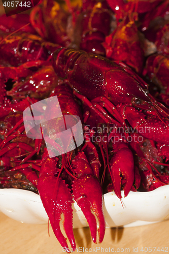 Image of crayfish