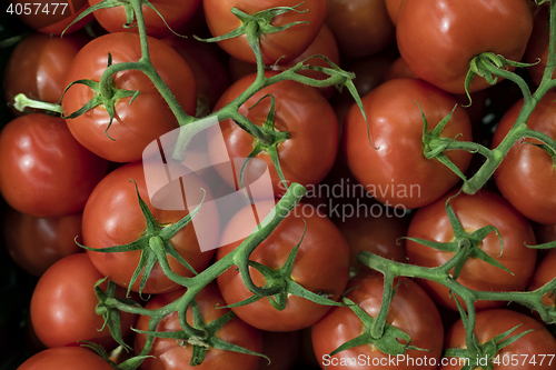 Image of Tomatoes