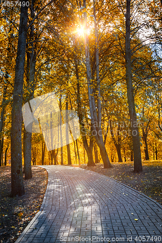 Image of Autumn  in park