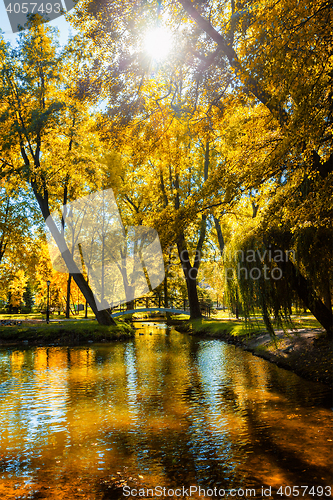 Image of Autumn  in park