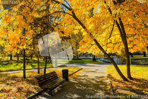 Image of Autumn  in park