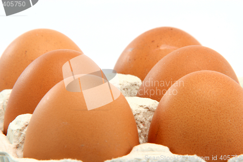 Image of isolated eggs