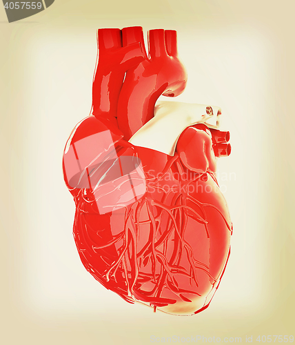 Image of Human heart. 3D illustration. Vintage style.