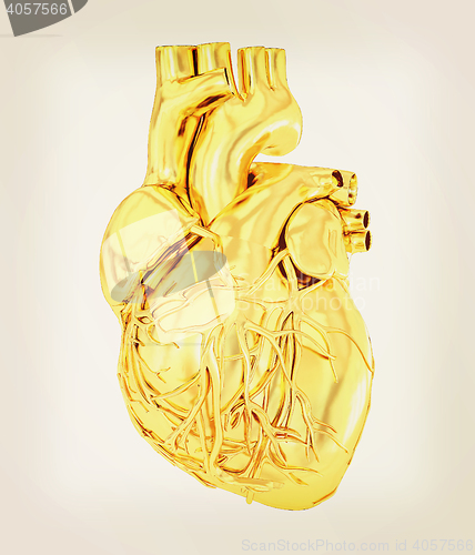 Image of Human heart. 3D illustration. Vintage style.