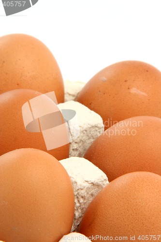 Image of eggs vertical