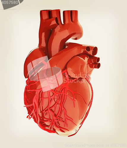 Image of Human heart. 3D illustration. Vintage style.