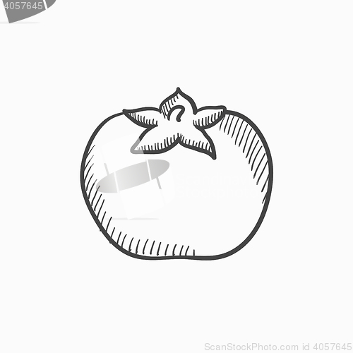 Image of Tomato sketch icon.