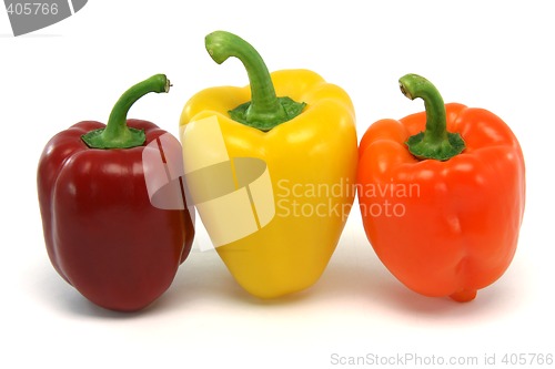 Image of above three peppers