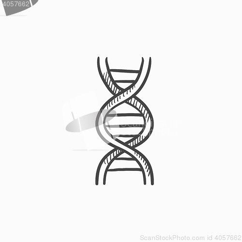 Image of DNA sketch icon.