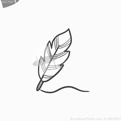 Image of Feather sketch icon.