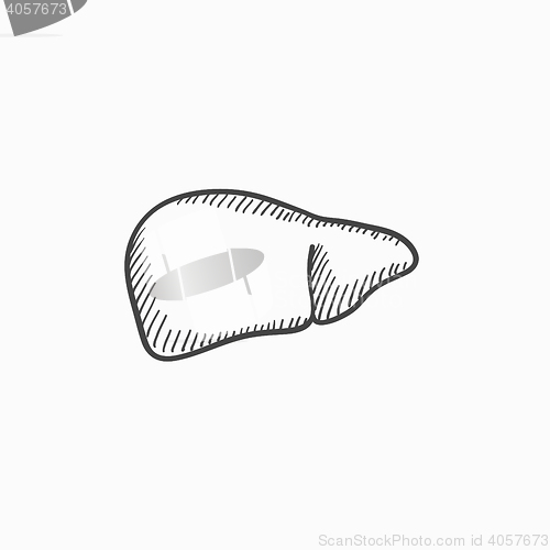 Image of Liver sketch icon.