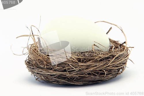 Image of big egg small nest