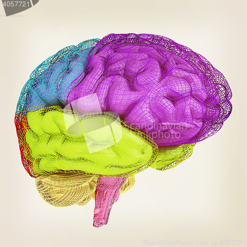 Image of Creative concept of the human brain. 3D illustration. Vintage st