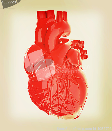 Image of Human heart. 3D illustration. Vintage style.