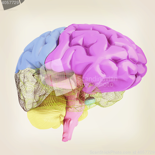 Image of Creative concept of the human brain. 3D illustration. Vintage st