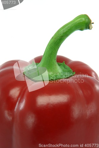 Image of closeup pepper