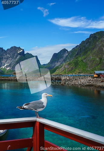 Image of Lofoten archipelago islands