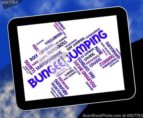 Image of Bungee Jumping Indicates Text Words And Adventure