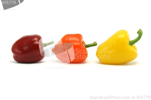 Image of size and color peppers