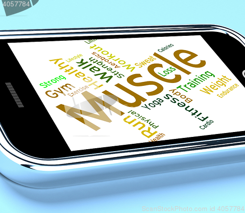 Image of Muscle Words Shows Weight Lifting And Dumbbell