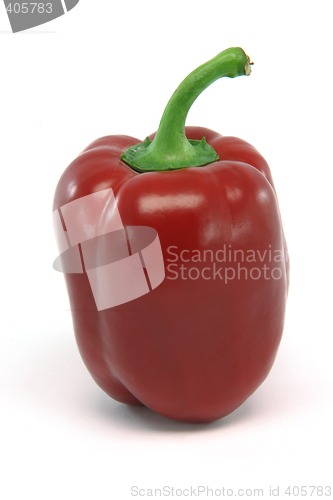 Image of isolated red peper