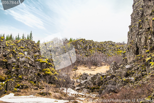 Image of Moss on cliffs at Thingvellir national park